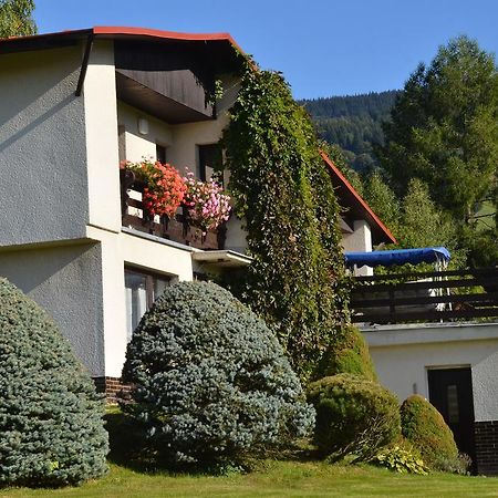 Apartman Braun Rokytnice nad Jizerou Kamer foto
