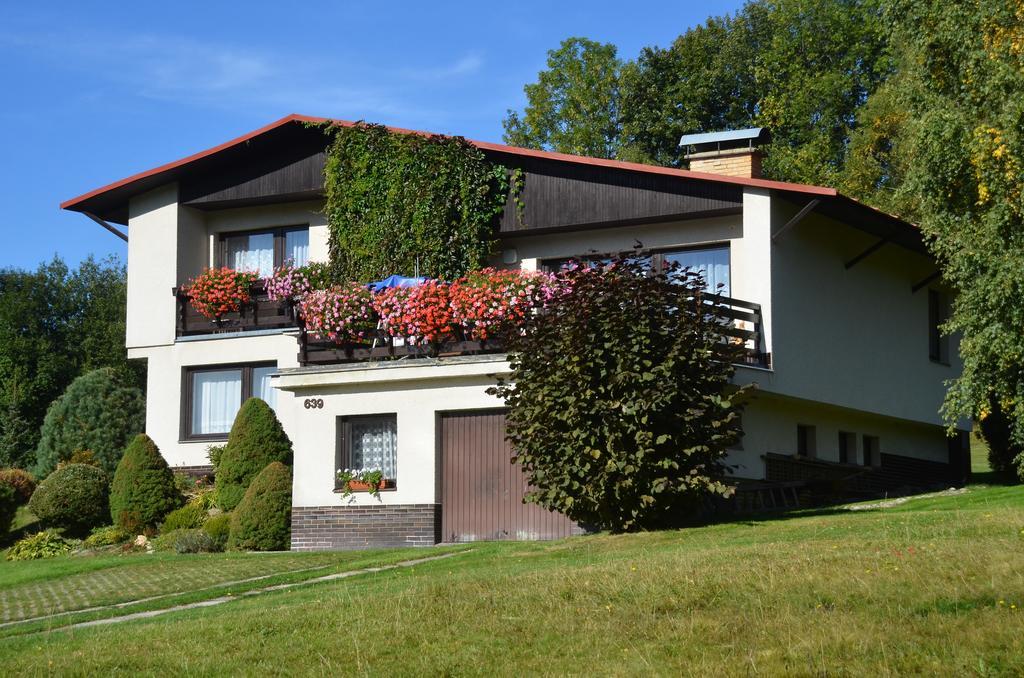 Apartman Braun Rokytnice nad Jizerou Kamer foto
