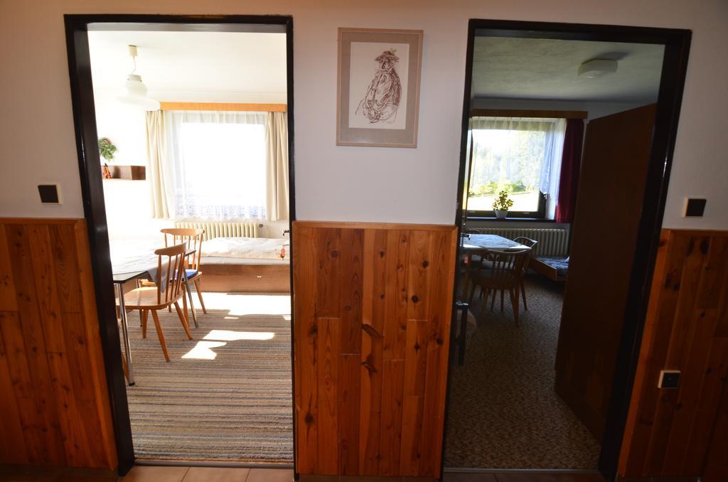 Apartman Braun Rokytnice nad Jizerou Kamer foto