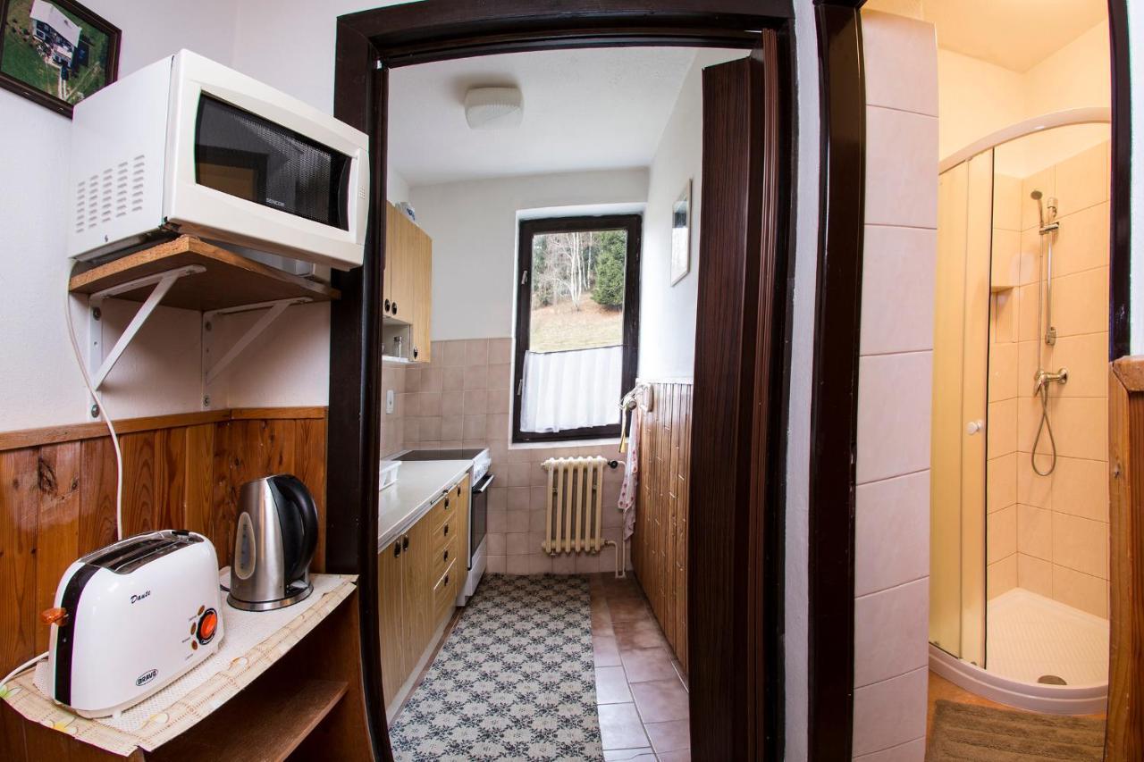 Apartman Braun Rokytnice nad Jizerou Buitenkant foto