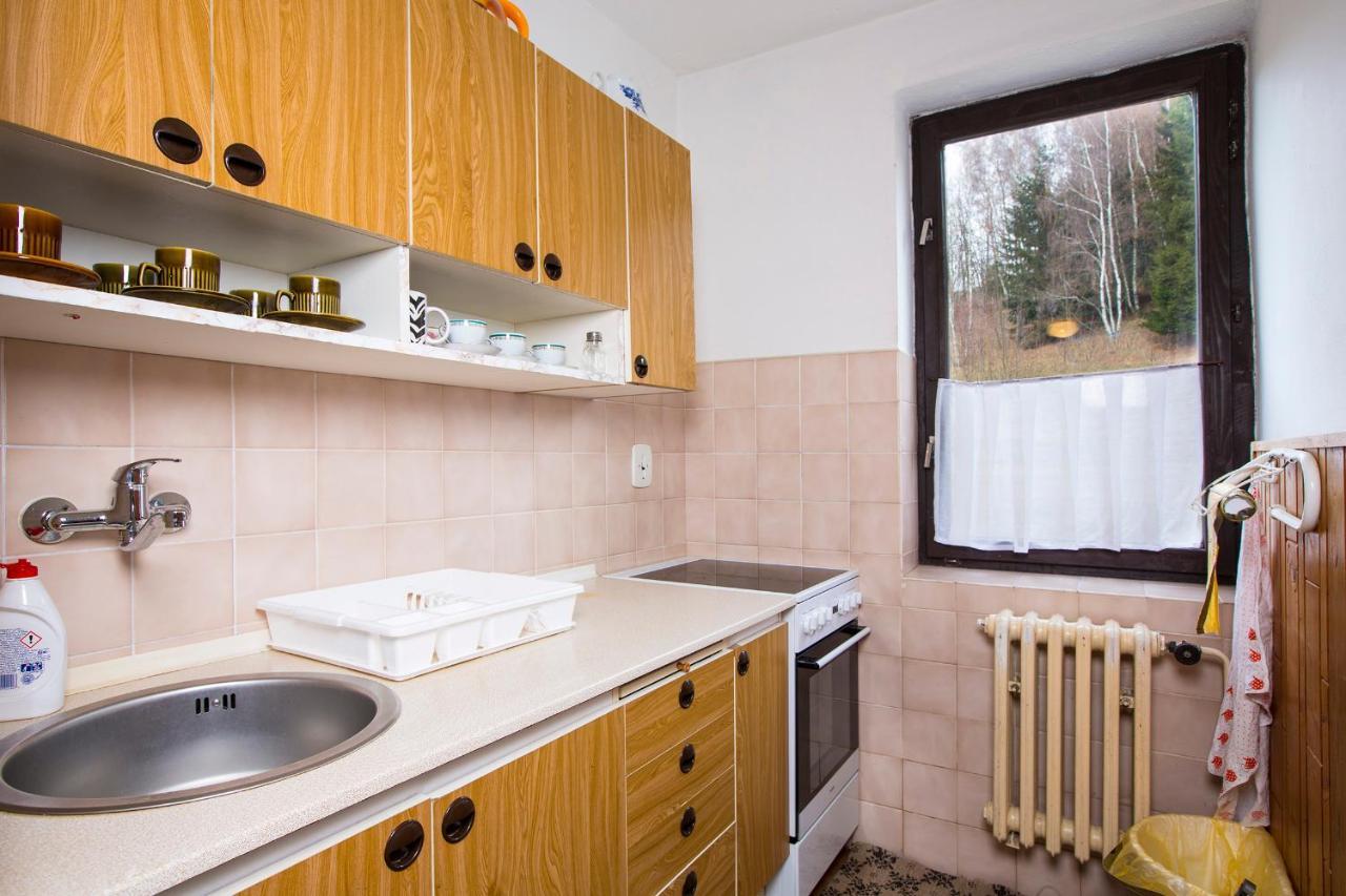 Apartman Braun Rokytnice nad Jizerou Buitenkant foto
